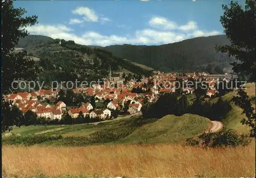 Wallenfels Oberfranken Panorama Kat. Wallenfels