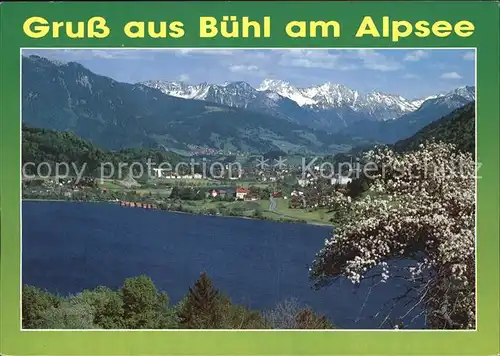 Buehl Alpsee Panorama Kat. Immenstadt i.Allgaeu
