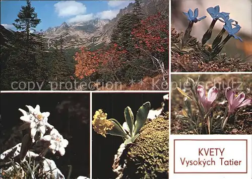 Vysoke Tatry Vysokych Tatier Kat. Slowakische Republik