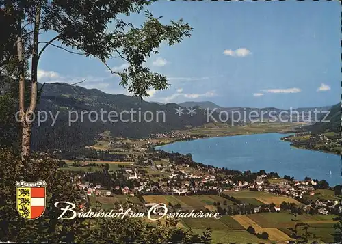 Bodensdorf Steindorf Fliegeraufnahme Ossiachersee Kat. Steindorf am Ossiacher See Kaernten