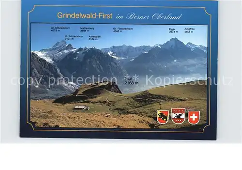 Grindelwald First Grosser Schreckhorn Jungfrau Kat. Grindelwald