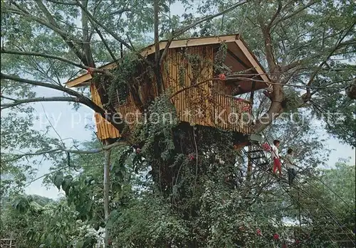 Zamboanga City Tree House  Kat. Zamboanga City