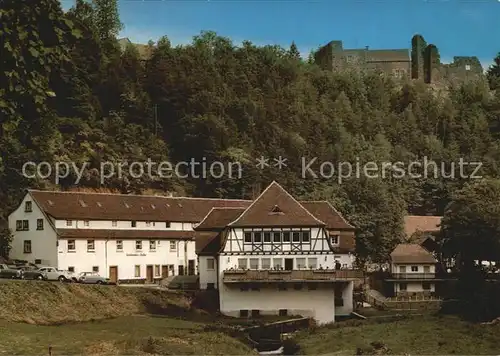 Trippstadt Klugsche Muehle Burgruine Wilenstein  Kat. Trippstadt