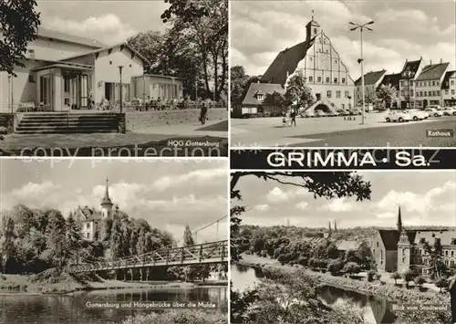 Grimma Rathaus HOG Gattersburg Haengebruecke  Kat. Grimma