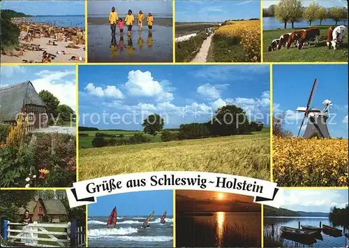 Schleswig Holstein Strand Wattwanderung Viehweide Bauernhaus Panorama Windmuehle Surfen Bootsliegeplatz Kat. Schleswig