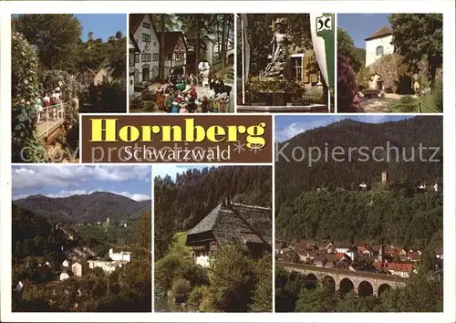 Hornberg Schwarzwald Teilansichten Dorfmotive Panorama Schwarzwaldbahn Kat. Hornberg