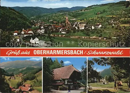 Oberharmersbach Panorama Teilansicht Schwarzwaldhaus Park Kat. Oberharmersbach