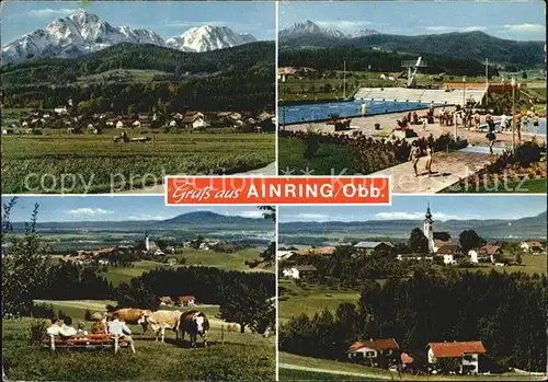 Ainring Panorama Schwimmbad Ruhebank Teilansicht Kat. Ainring