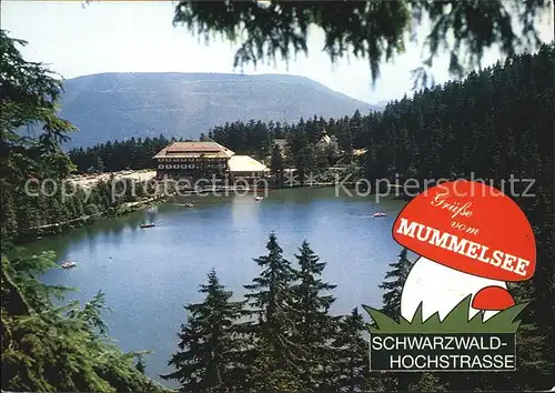 Mummelsee Berghotel Mummelsee Kat. Seebach