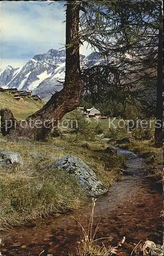 Fafleralp Schinhorn Kat. Kandersteg