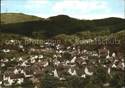Michelbach Gaggenau Panorama / Gaggenau /Rastatt LKR