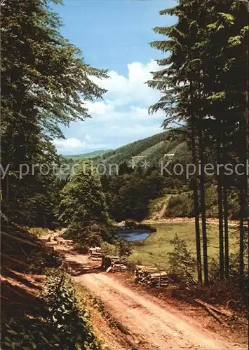 Fleckenberg Waldweg Teich Kat. Schmallenberg