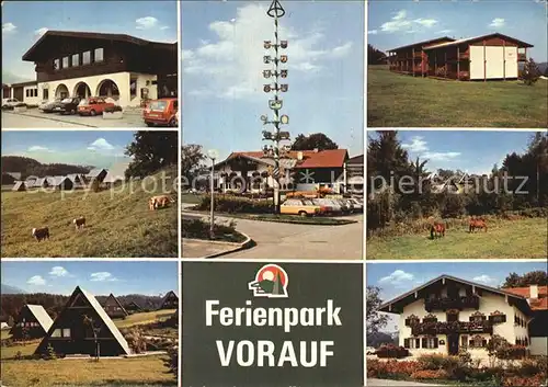 Siegsdorf Oberbayern Ferienpark Vorauf Ferienhaeuser Kuehe Pferde Maibaum Kat. Siegsdorf