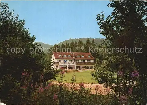 Bad Sachsa Harz Landhaus Helmboldt Hotel Pension Waldpromenade Kat. Bad Sachsa