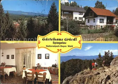 Spiegelau Panorama Gaestehaus Griedl Gaststube Bergwanderer Kat. Spiegelau