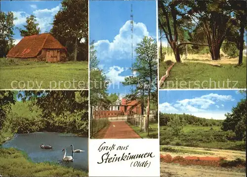 Steinkimmen Ausflugslokal Waldschaenke am Fernsehturm Park Schwanenteich Kat. Ganderkesee