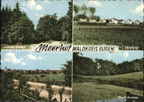 Meerhof Zum neuen Weg Siedlung Neuer Brunnen Kat. Marsberg