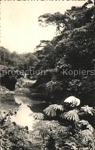 kt73889 Congo Francais Paysage du Mayombe Parcours du Chemin de fer du Congo Oce