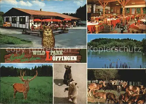 Loeffingen Wildpark Details Restaurant Gastraum Kat. Loeffingen