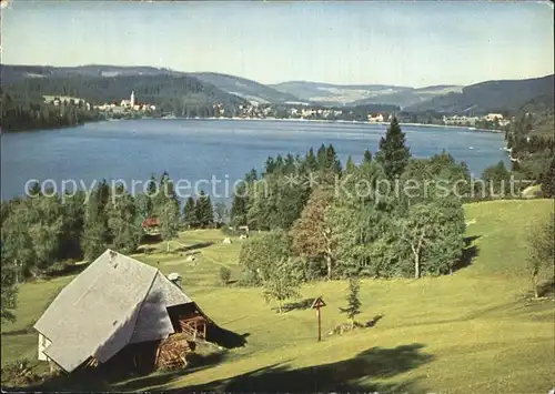 Titisee Seehaeusle Kat. Titisee Neustadt