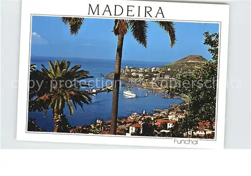 Madeira Funchal Kat. Portugal