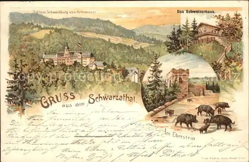Schwarzatal Schloss Schweizerhaus Eberstein Wildschweine Litho Kat. Rudolstadt