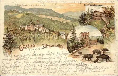 Schwarzatal Schloss Schwarzburg Schweizerhaus Eberstein Wildschweine Litho Kat. Rudolstadt
