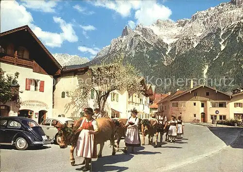 Mittenwald Bayern mit Karwendel Almabtrieb Kat. Mittenwald