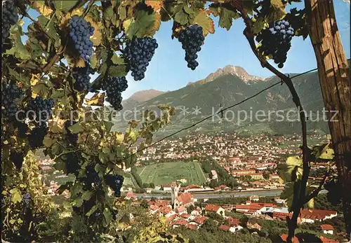 Marling Panorama Blick von den Weinbergen Weinreben Weintrauben Kat. Marling Marlengo