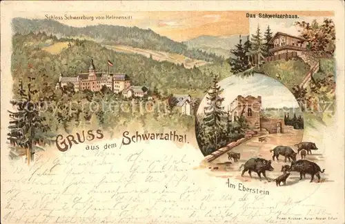 Schwarzatal Schloss Schwarzburg Schweizerhaus Eberstein Wildschweine Kat. Rudolstadt