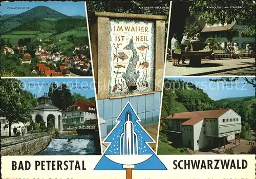 Bad Peterstal Griesbach Panorama Trinkquelle Stahlbad Brunnenhalle Sanatorium Kurhaus Kat. Bad Peterstal Griesbach