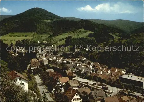 Bad Peterstal Griesbach Panorama Kat. Bad Peterstal Griesbach