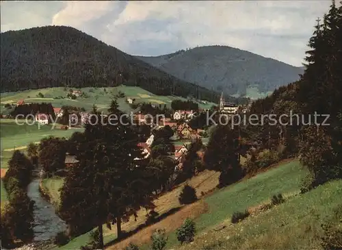 Mitteltal Schwarzwald Panorama Kat. Baiersbronn