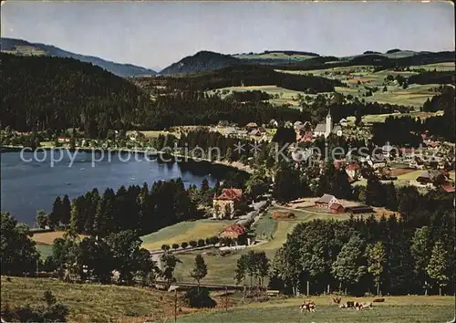 Titisee Panorama Kat. Titisee Neustadt