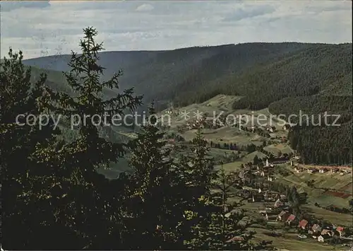 Tonbach Panorama Kat. Baiersbronn