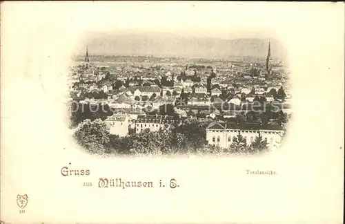 Mulhouse Muehlhausen Panorama Kat. Mulhouse
