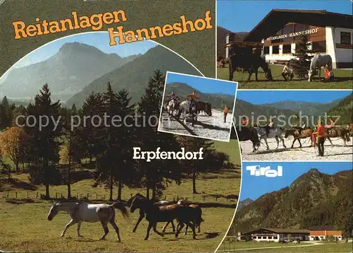 Erpfendorf Reteranlagen Hanneshof Kat. Kirchdorf in Tirol