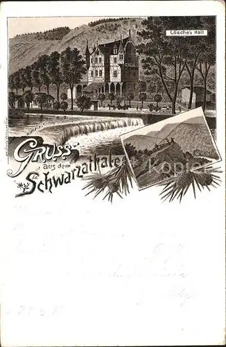 Schwarzatal Loesches Hall Wehr Litho Kat. Rudolstadt