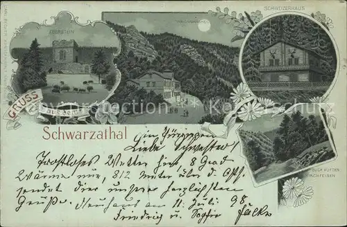 Schwarzatal Eberstein Wildschwein Gaststaette Schweizerhaus im Mondschein Felsen Litho Kat. Rudolstadt