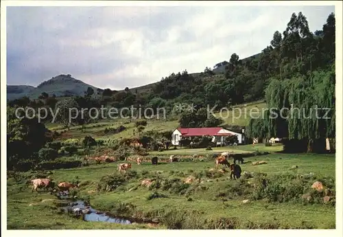 Eastern Transvaal Panorama Kat. Suedafrika