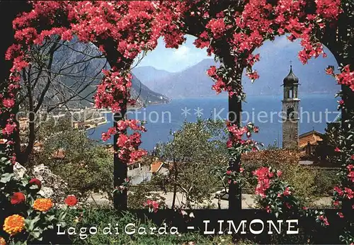 Limone del Garda Panorama