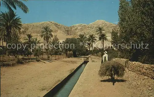 Jerusalem Yerushalayim Elisha Fountain and Mount of Temptation Kat. Israel