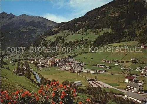 Neustift Stubaital Tirol Blick zur Brennerspitze Kat. Neustift im Stubaital