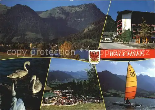 Walchsee Tirol Teilansicht Schwaene Segelboot  Kat. Walchsee
