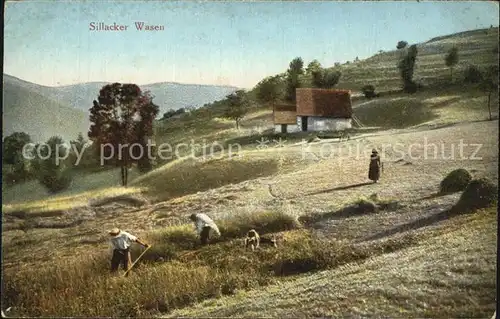 Vogesen Vosges Region Sillacker Wasen Bauern Maehen Kat. Gerardmer