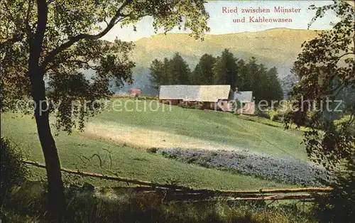 Ried Haut Rhin Panorama Kat. Munster