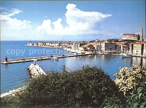 Piran Blick ueber den Hafen Kat. Piran