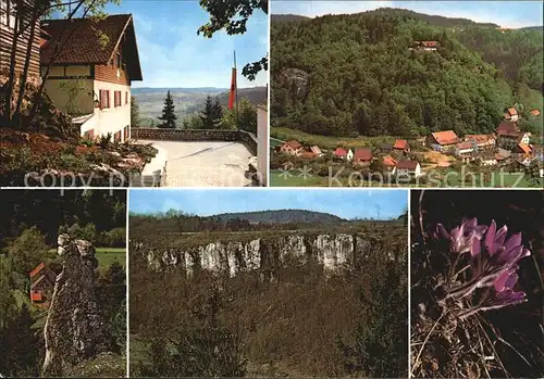 Veilbronn Naturfreundehaus Panorama Fraenkische Schweiz Felsen Flora Kat. Heiligenstadt i.OFr.