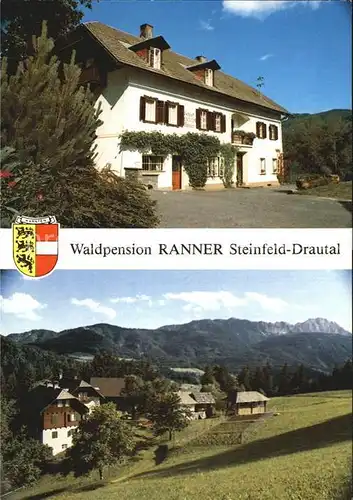 Steinfeld Kaernten Waldpension Ranner Drautal Alpenpanorama Kat. Steinfeld