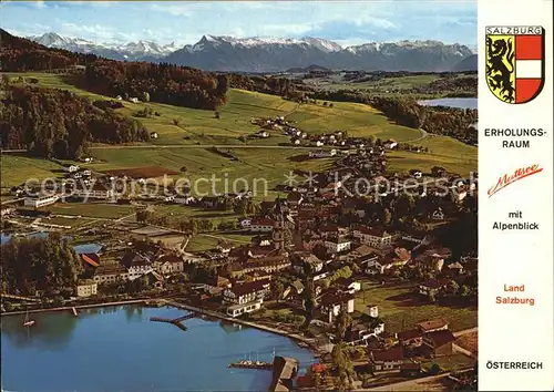 Mattsee Salzburg Trumersee Blick gegen Untersberg Alpenpanorama Kat. Mattsee